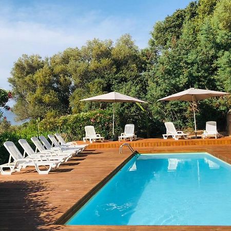מלון לומיו Camping Monte Ortu By Corsica Paradise מראה חיצוני תמונה